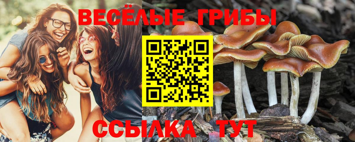 Мариинск  Псилоцибиновые грибы мухоморы  как найти   Вход с VPN 